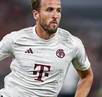 一次划槳都 一次划槳都