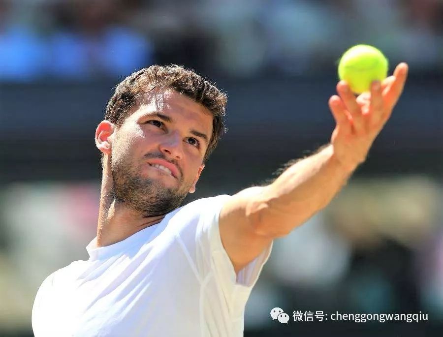 则的新星 则的新星