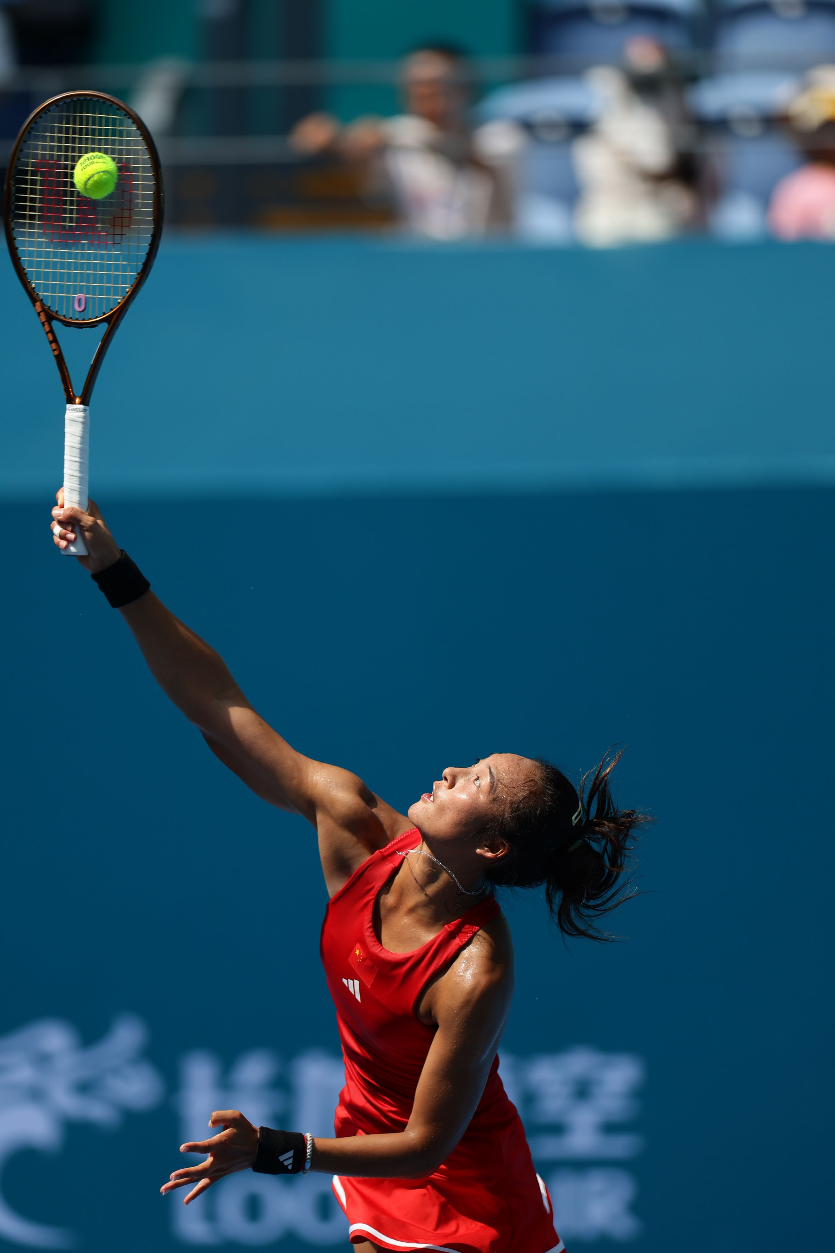 会徽的设计 会徽的设计